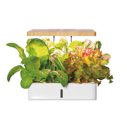Sistema hidropónico automatizado - ROBIN  - Resyx GmbH - Litrax - de interior / para jardín