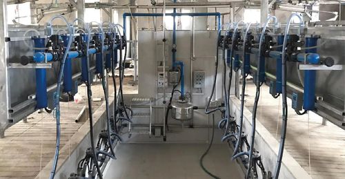 Sala de ordeño salida rápida - Favorit Çelikkaleli - para vacas / paralela / con cornadizas autocapturantes
