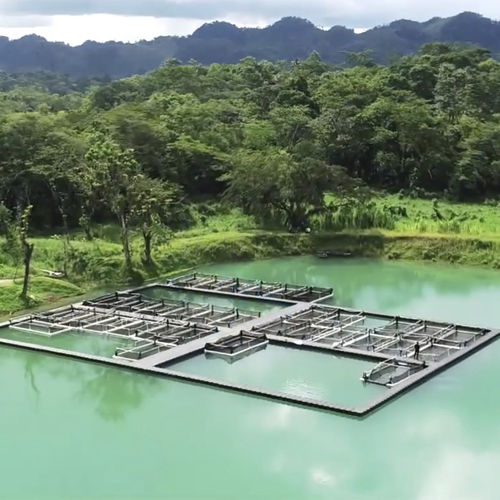 Pontón flotante para la acuicultura - CANDOCK - de plástico / modular