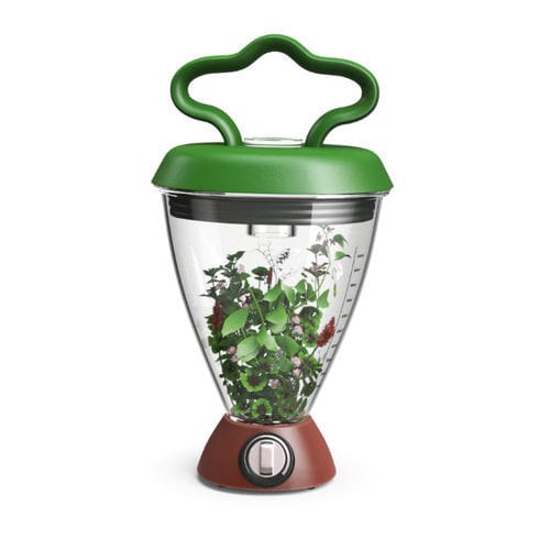 Mezcla de cubiertas vegetales - BOOST MIX Allrounder - BETASEED - CIPAN