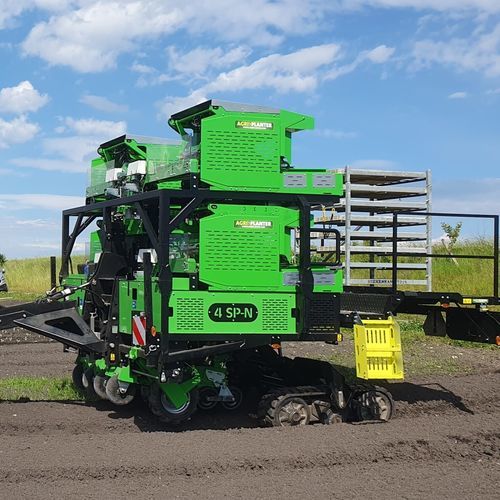 Plantadora de hortalizas - 4 SP-N - Agriplant NV - automática / 4 hileras / de acoplamiento