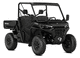 SSV 4x2 / 4x4 / 3 plazas / con motor de gasolina