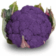 semilla de coliflor de verano / híbrida
