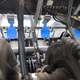 sistema de limpieza por aire comprimido para cosechadora-trilladora / para empacadora / para tractor