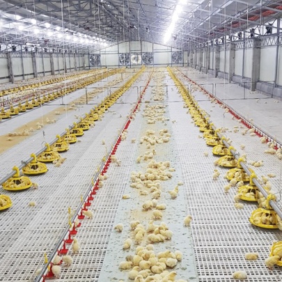 Retech Farming Photo 6