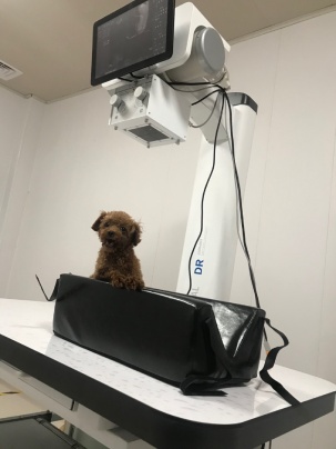 Dawei Veterinary Medical (jiangsu) co., ltd. Photo 5