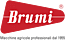 Brumi
