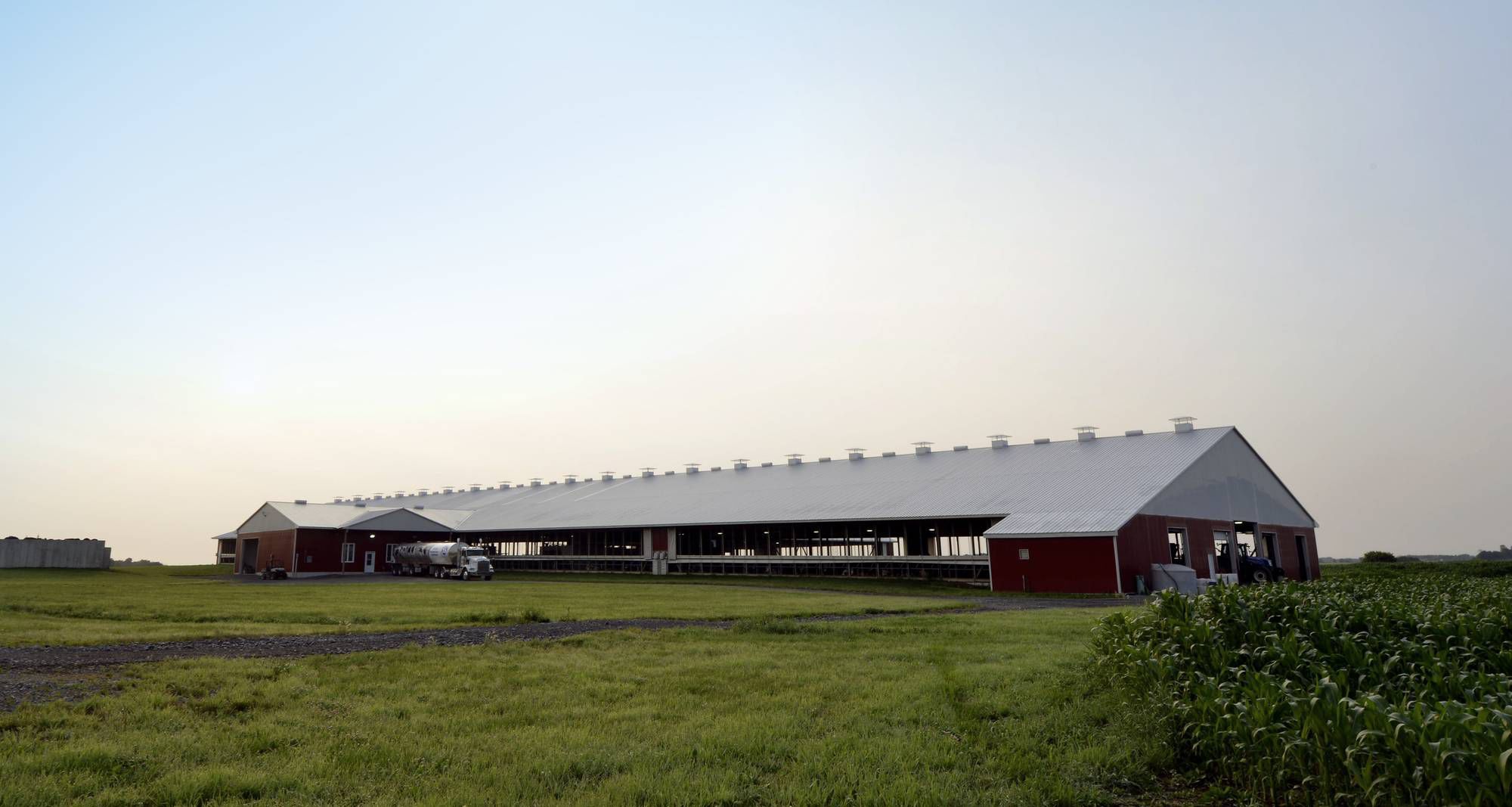 Étable Dairy XL Lely