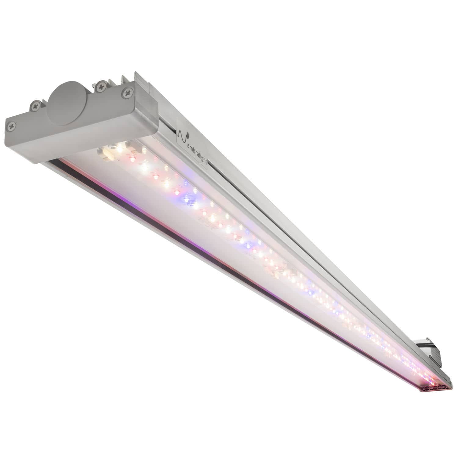 Éclairage pour serre - AE100 - Ambralight - pour culture verticale ...