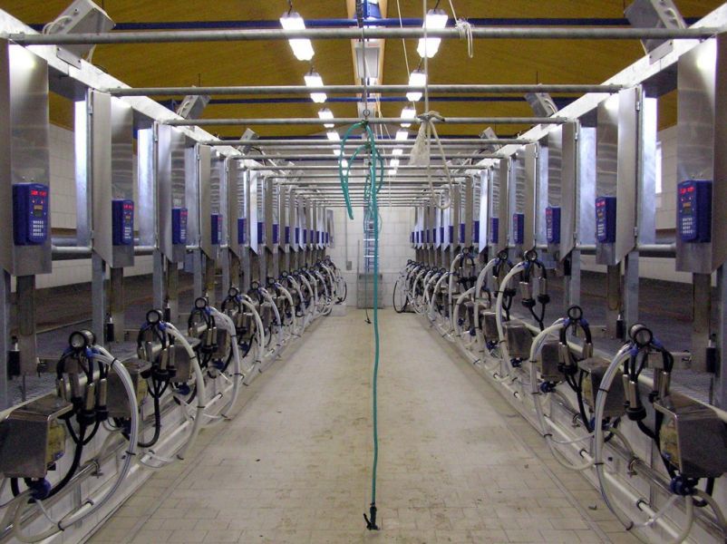 Les Differents Types De Salle De Traite Salle de traite pour vaches - FARMTEC a.s. - en épi / avec sortie rapide