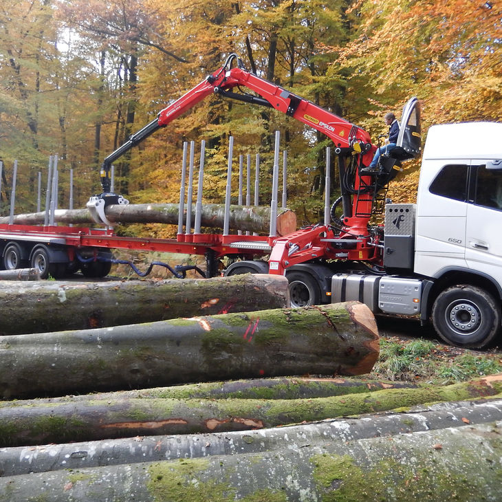 Grue forestière montée sur camion S Series EPSILON Kran GmbH à — free download