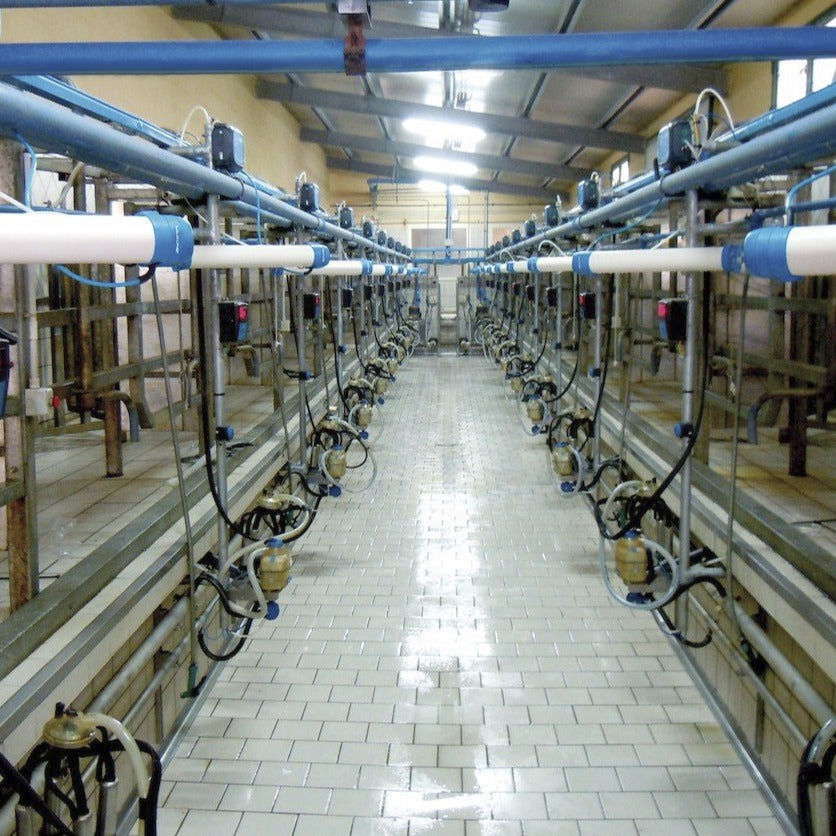 Machine à Traire Manuelle Pour Vaches Et Moutons - Kit Portable Facile à Nettoyer - Idéal Petites Fermes
