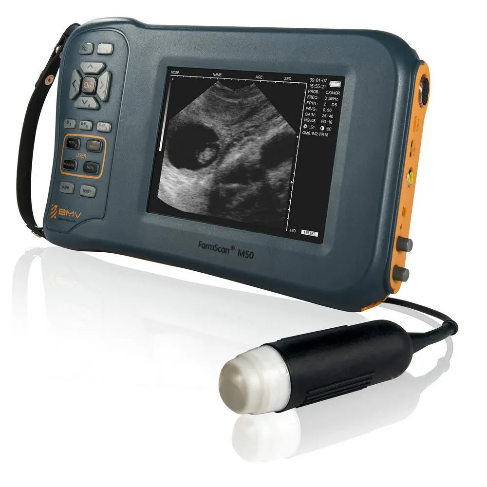 Scanner à Ultrasons DAWEI Sans Fil – Portable Pour Chien, Mouton, Cochon, Avec Sonde étanche !