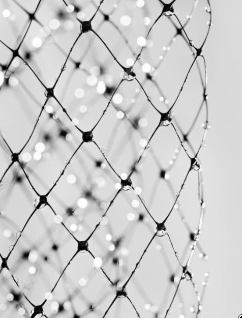 Filet De Protection Filet Anti Oiseaux Polyéthyène Avec 100 Câble De Nylon Pour Protection Jardin Et Potager ,étang 4m X 10m - Jardin