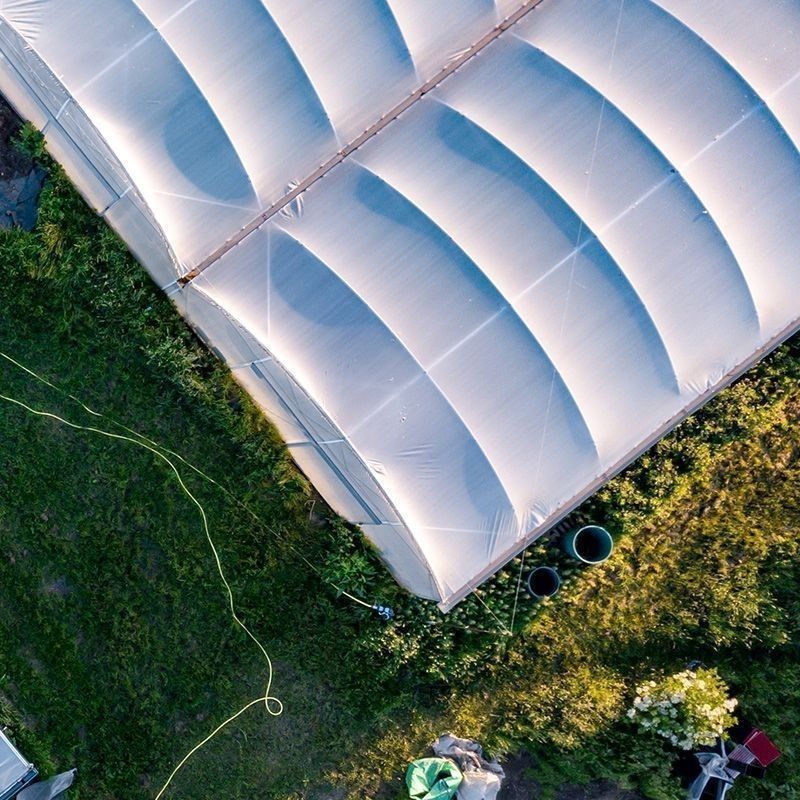 Serre multi tunnel Resif Greenhouse Technologies de production