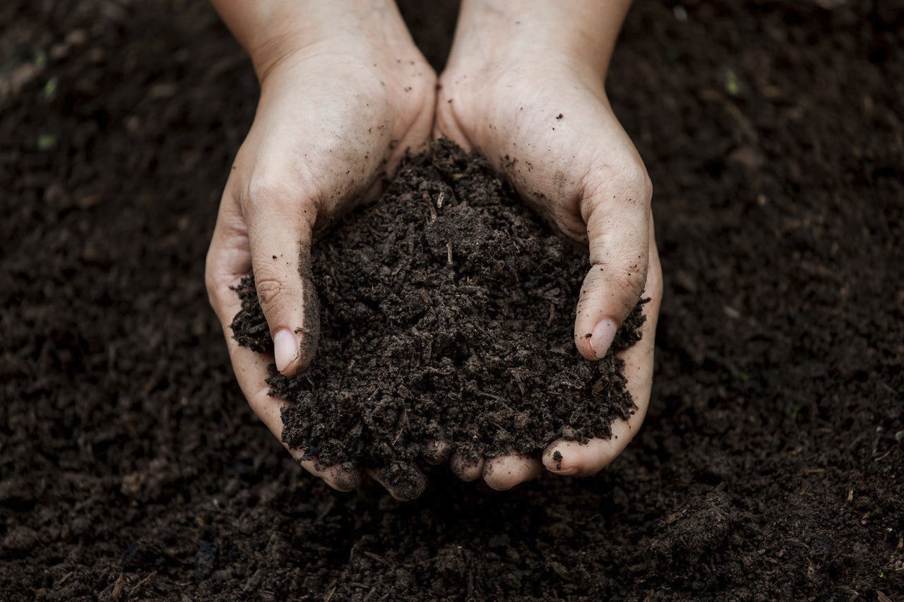 Amendement compost Mushroom Mineravi pour structurer le sol — free download