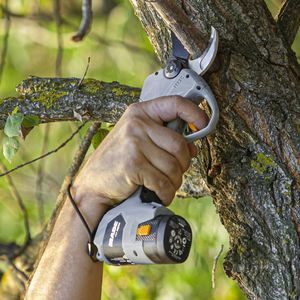 Sécateur Électrique Sans Fil Professionnel - Coupe Branches Jusqu'à 30mm, 2 Batteries 1200mAh, Lames SK7 - Pour Jardin Et Verger