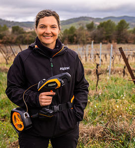 attacheur de vigne main droite