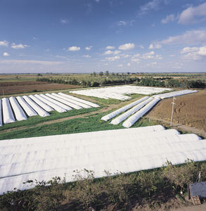 sac d'ensilage