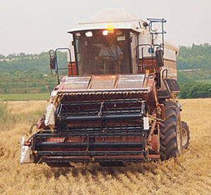 tête de récolte de céréales
