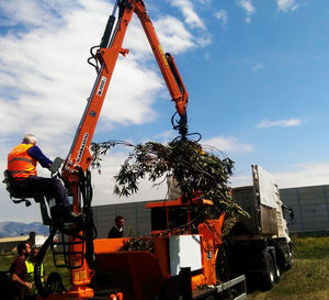 grue forestière montée sur camion