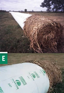 bâche d'ensilage