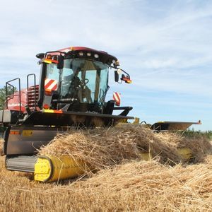 andaineur à tapis