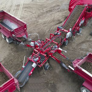convoyeur de pommes de terre