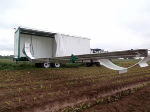 tapis de récolte de brocoli