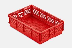 panier d'éclosion pour œufs de poule