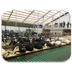 matelas pour vaches en caoutchouc
