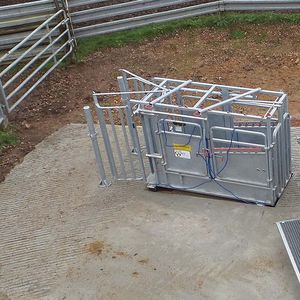 cage de traitement pour vaches