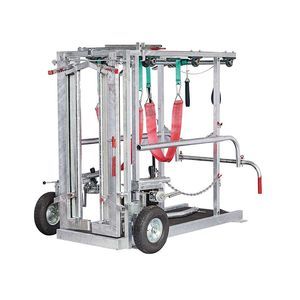 cage de traitement pour vaches