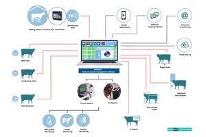 système de surveillance pour vaches