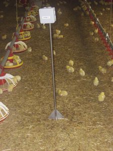 sonde de temperature pour poulailler