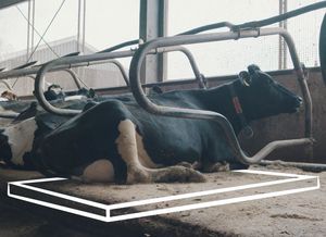 matelas pour vaches en caoutchouc