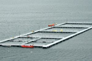 ponton flottant pour l'aquaculture