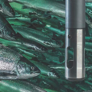 capteur de température pour l'aquaculture 1