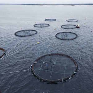 cage à poisson flottante