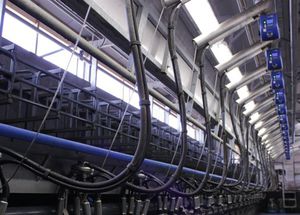 salle de traite pour vaches
