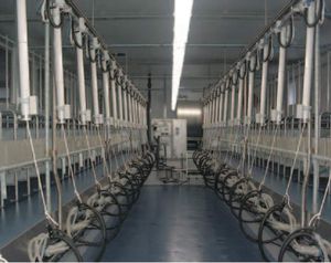 salle de traite pour chèvres