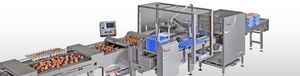 machine d'emballage pour œufs