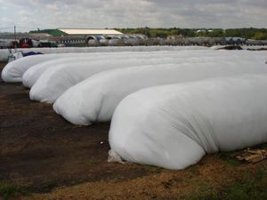 sac d'ensilage