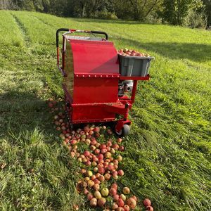 ramasseuse de fruits