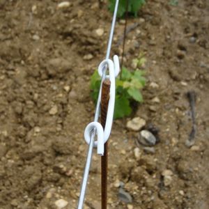 barrette de palissage en plastique