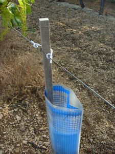 barrette de palissage en plastique
