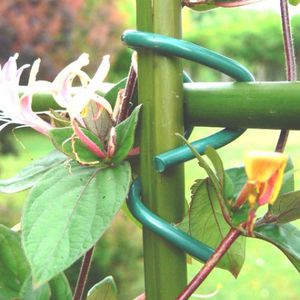 barrette de palissage en plastique