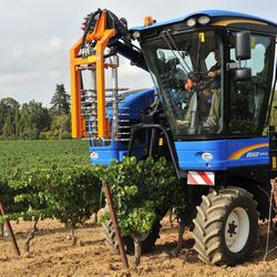 prétailleuse montée sur tracteur 1