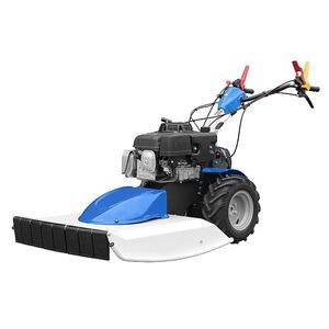 tondeuse à gazon poussée 1