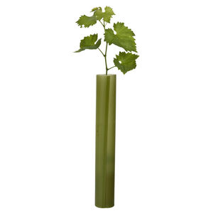 tube de plantation de vigne